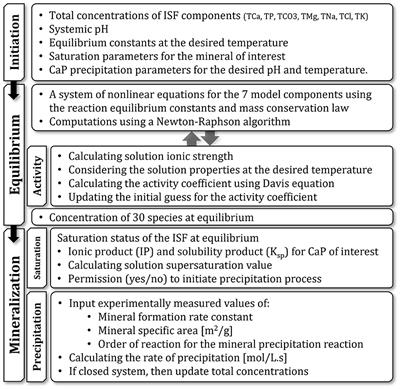 Mathematical model of physicochemical regulation of precipitation of bone hydroxyapatite